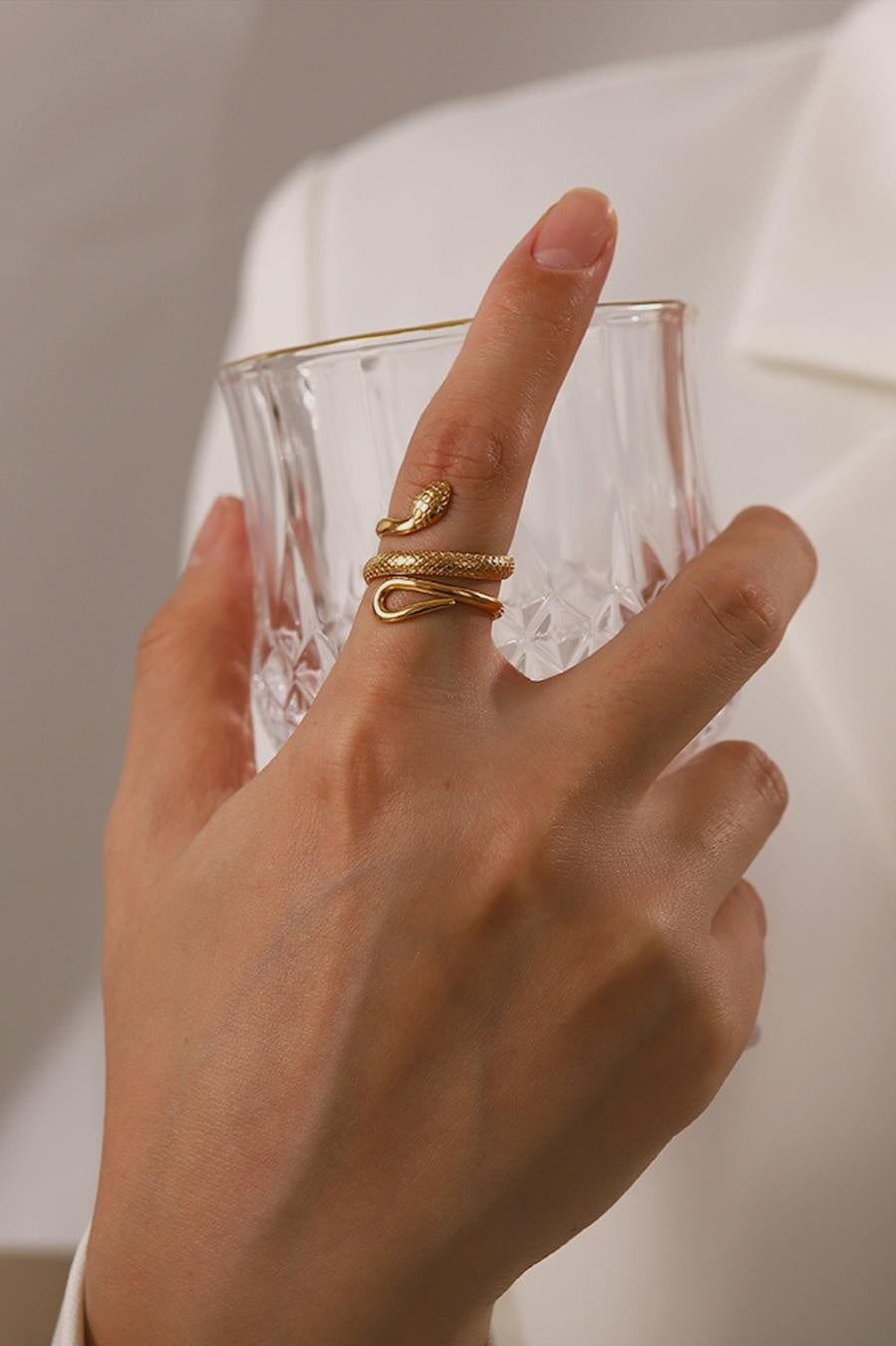 Stainless Steel Ring met Slangen Model