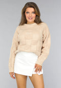 Beige Geblokte Trui