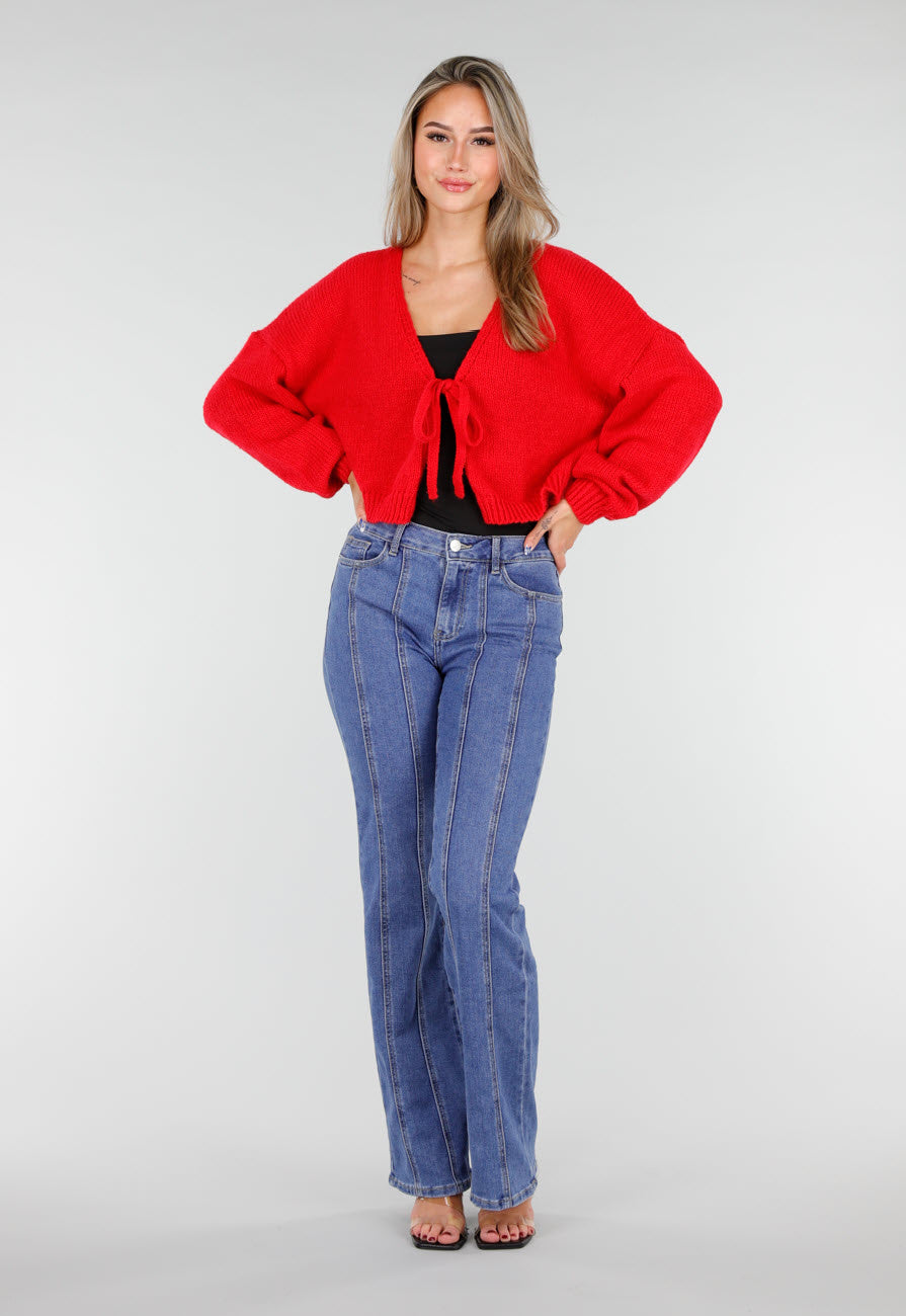 Redial Jeans Blauwe Stretch Jeans met Rechte Pijpen en Verticale Stiknaden